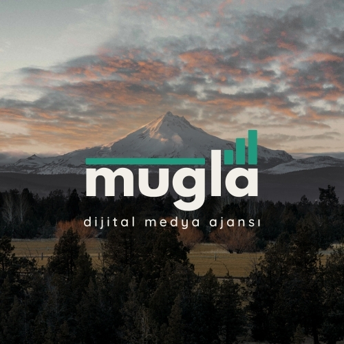 Dijital reklam ajansı Kopyası Kopyası kopyası